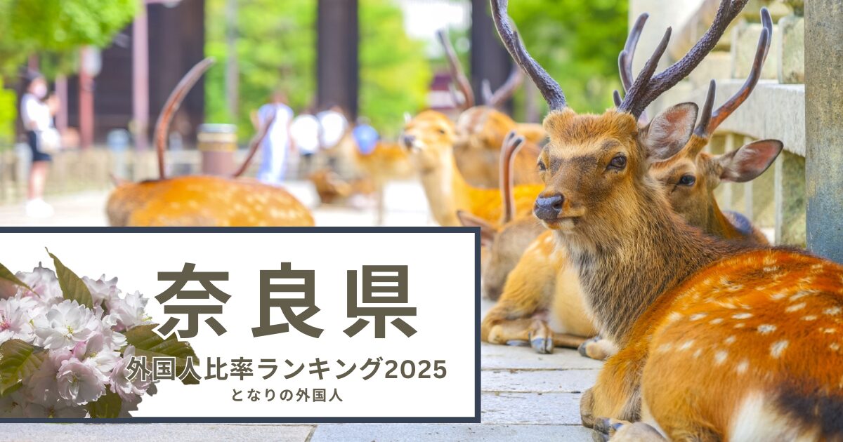 奈良県で外国人が多い街ランキング
